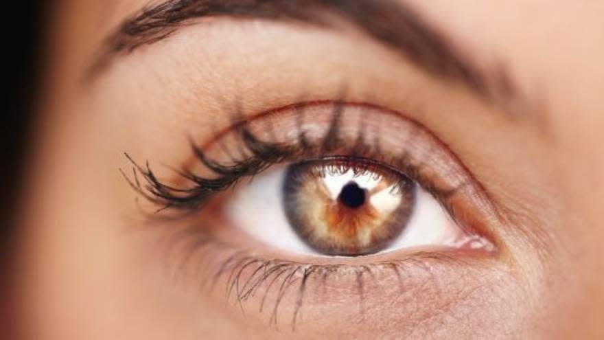 El ojo es uno de los órganos sensoriales más importantes y delicados del cuerpo humano, capaz de absorber y procesar más de diez millones de datos por segundo