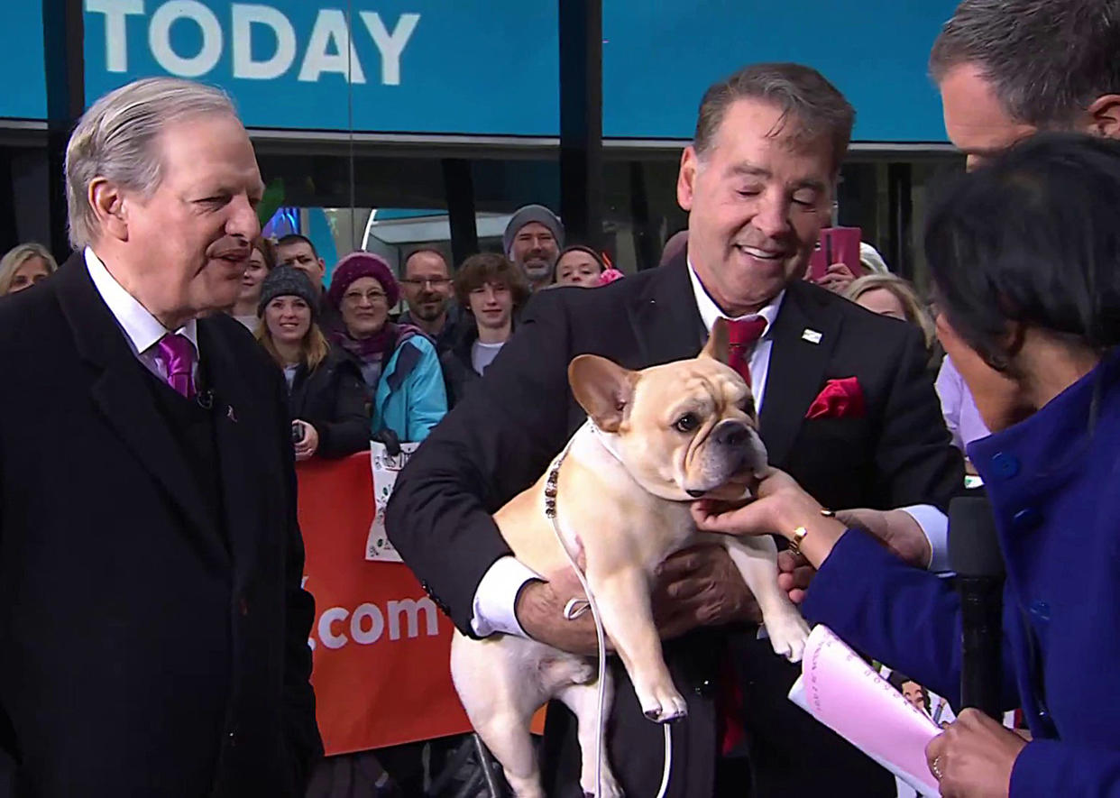 Winston, 2022 National Dog Show winner, stops by TODAY
 (TODAY)