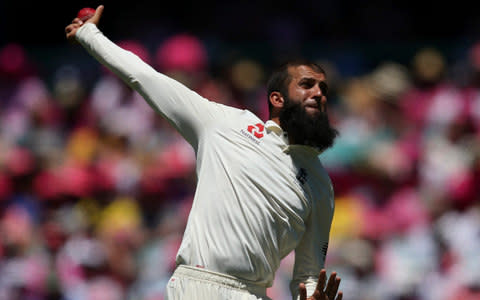 Moeen Ali during the Ashes - Credit: AP