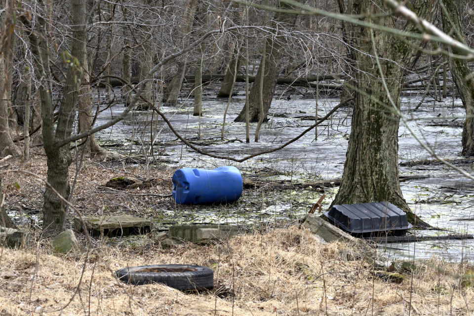 Waste dumped at a marsh in the woods.