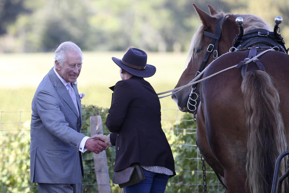 Britain's King Charles III shakes hands with an employee as he visits the Chateau Smith Haut Lafitte, a Grand Cru classé de Graves, a vineyard known for its sustainable approach to wine making, Friday, Sept. 22, 2023 in Martillac, outside Bordeaux, southwestern France. (AP Photo/Bob Edme, Pool)