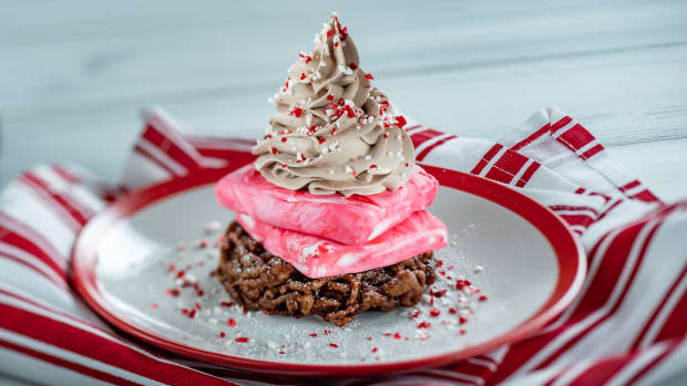 <p>Mini Funnel Cake topped with Peppermint Ice Cream from the Funnel Cake (The American Adventure)</p><p>Disney</p>