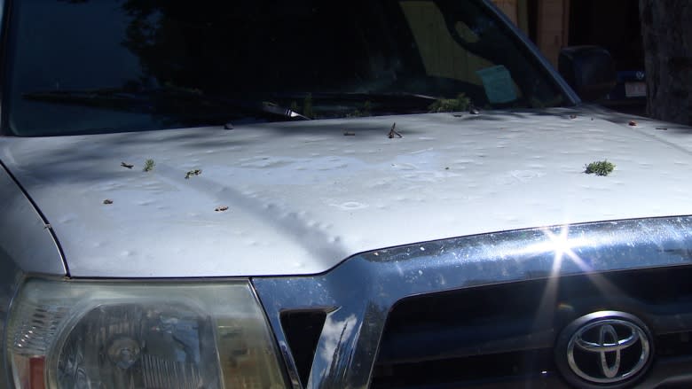 Hailstorm leaves trail of damage in Redwood Meadows