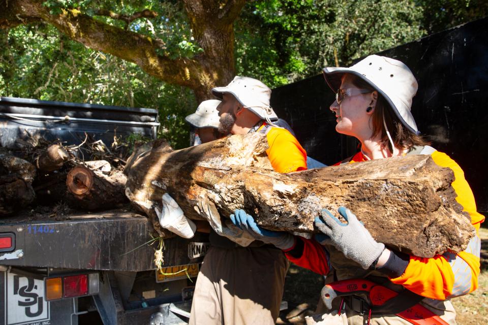 Salem's Stream Cleaning Program crew places a log onto a truck at Woodmansee Park on Thursday, July 18, 2024, in Salem, Ore.