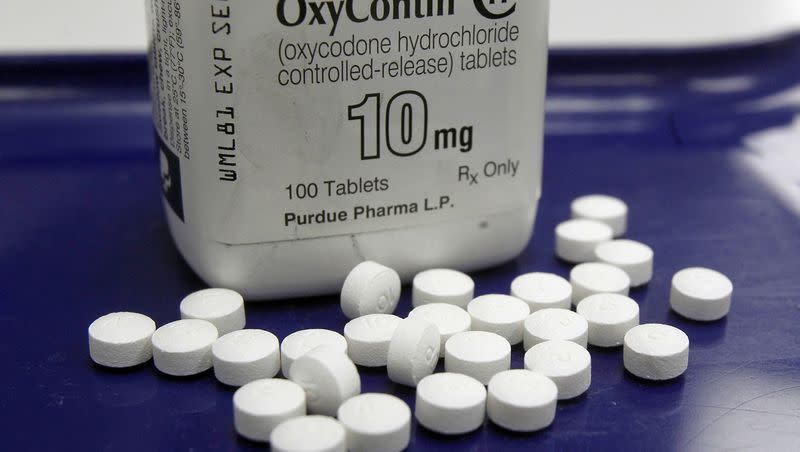 OxyContin pills are arranged for a photo at a pharmacy in Montpelier, Vermont on Feb. 19, 2013, 