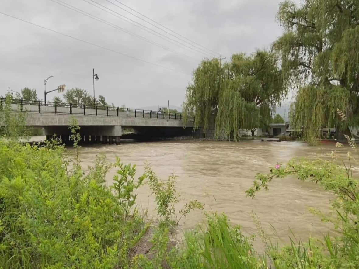 Mission Creek near Kelowna, B.C., is seen on Wednesday. (Tom Popyk/CBC - image credit)