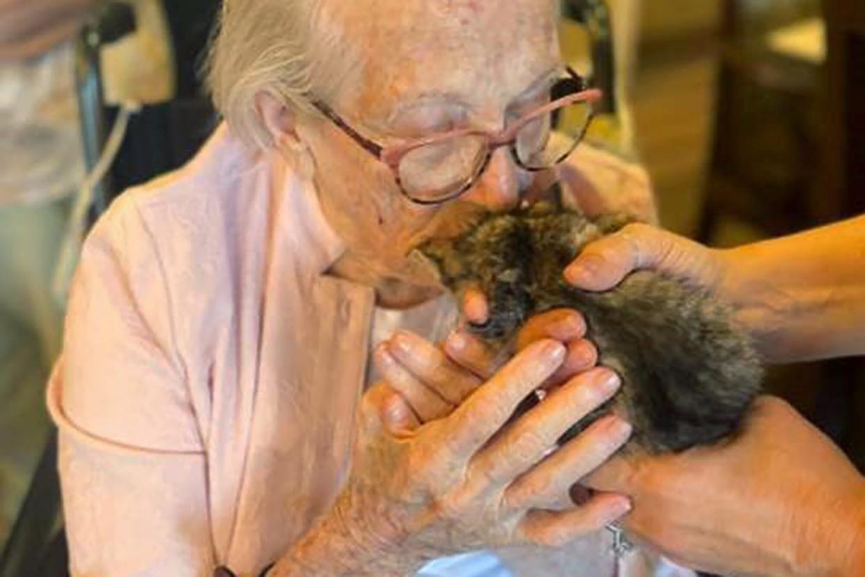 senior woman give a tiny kitten kisses