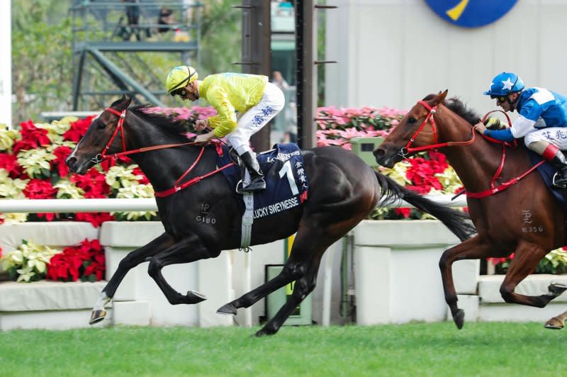 Lucky Sweynesse, seen winning the Group 1 Longines Hong Kong Sprint, is the favorite for Sunday's Group 1 Centenary Sprint Cup at Sha Tin Racecourse. (Photo courtesy of Hong Kong Jockey Club)