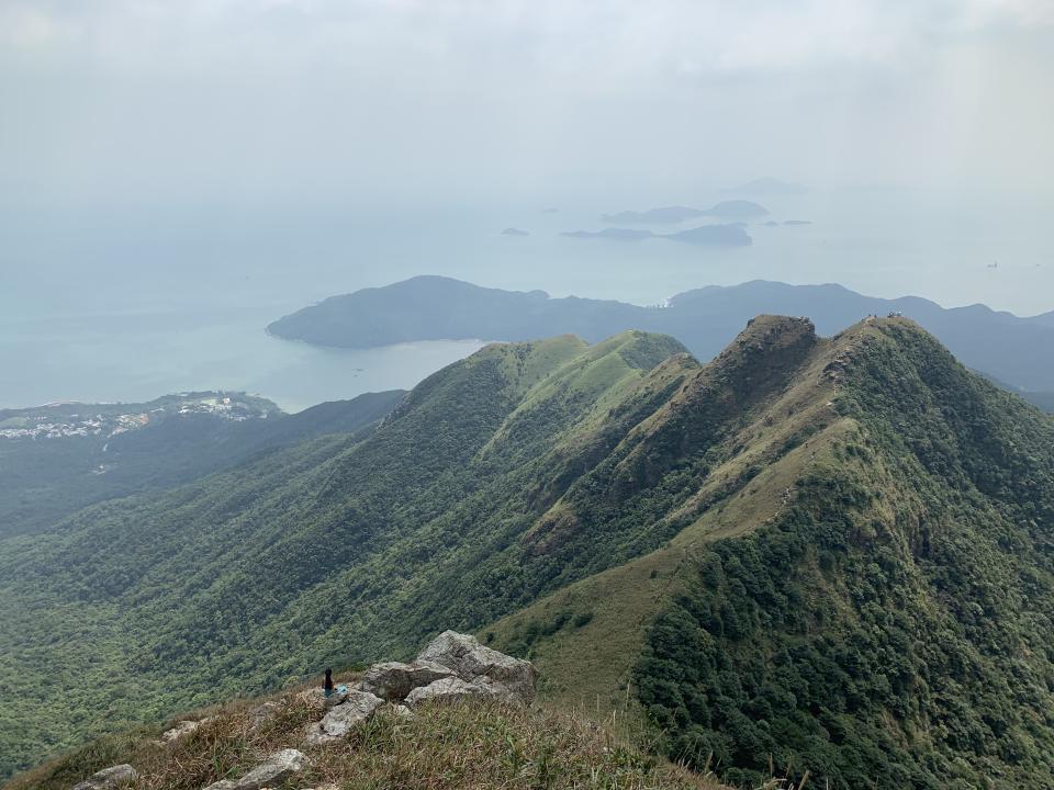 中狗牙全景