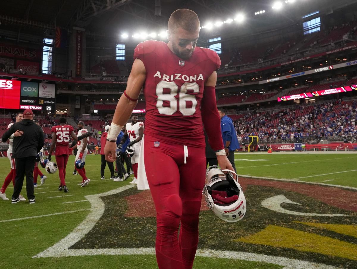 Even a 19-point loss has some silver linings for the growing Arizona  Cardinals