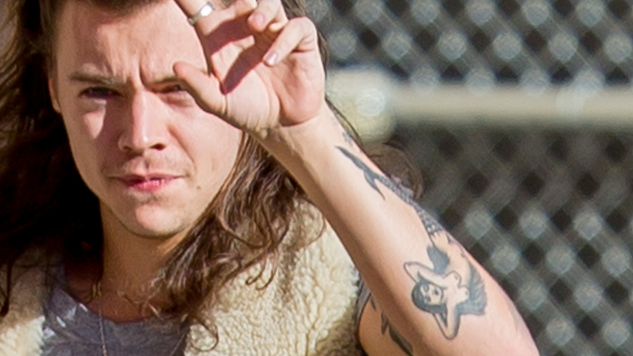 Tattoo, Temporary tattoo, Arm, Cool, Skin, Finger, Hand, Wrist, Flesh, Long hair, 