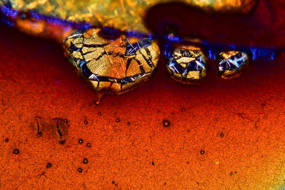 Espresso coffee crystals, in polarized light. <cite>Vin Kitayama and Sanae Kitayama</cite>