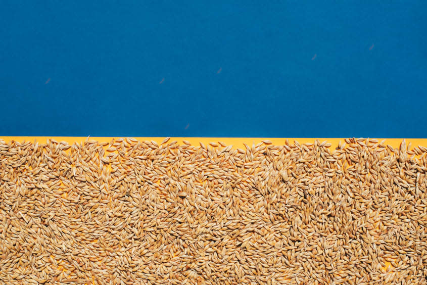 Grain on the background of the flag of Ukraine