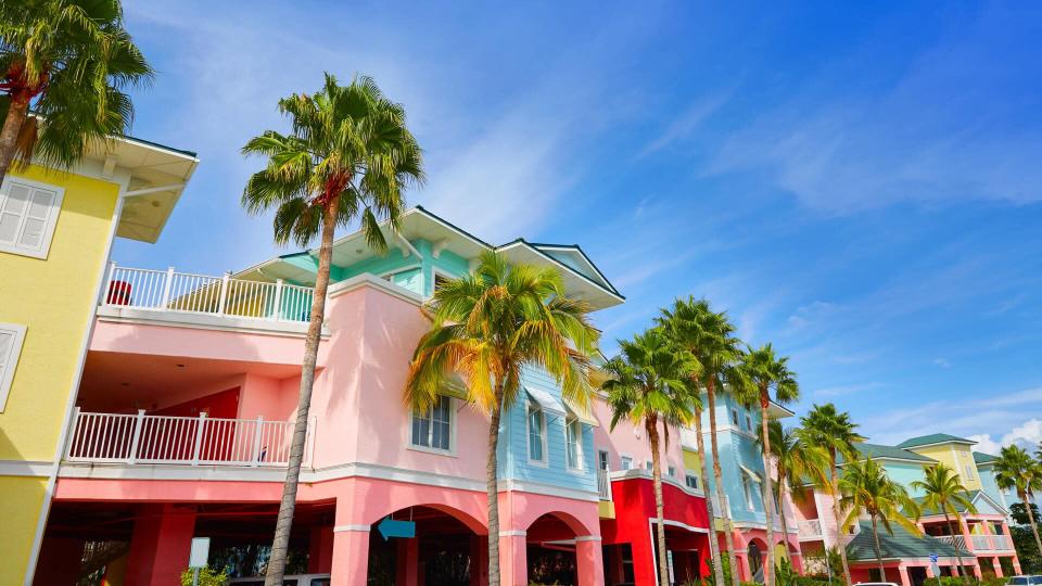 Florida Fort Myers colorful facades and palm trees in USA - Image.