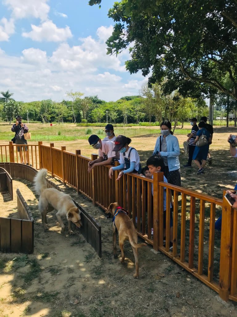 山上花園水道博物館有寵物區，提供友善寵物空間。（記者張淑娟攝）