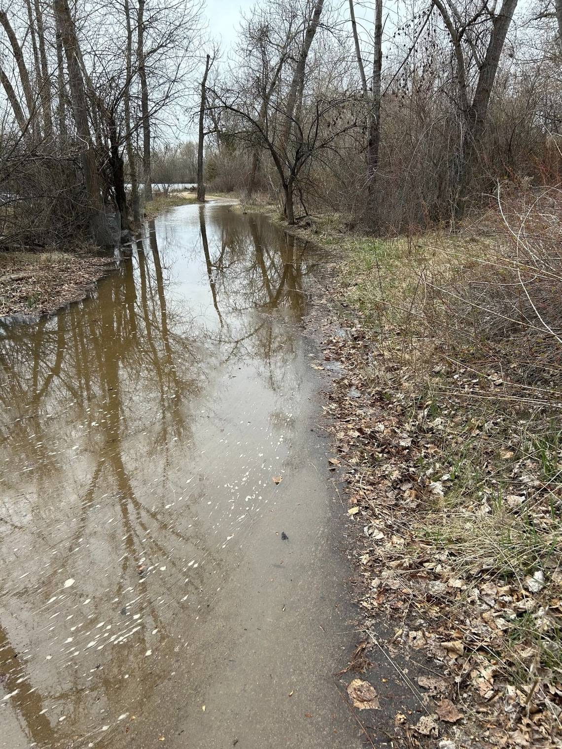 The Bethine Church River Trail, a 1.6-mile unpaved stretch of the Boise River Greenbelt, has experienced flooding throughout the spring.