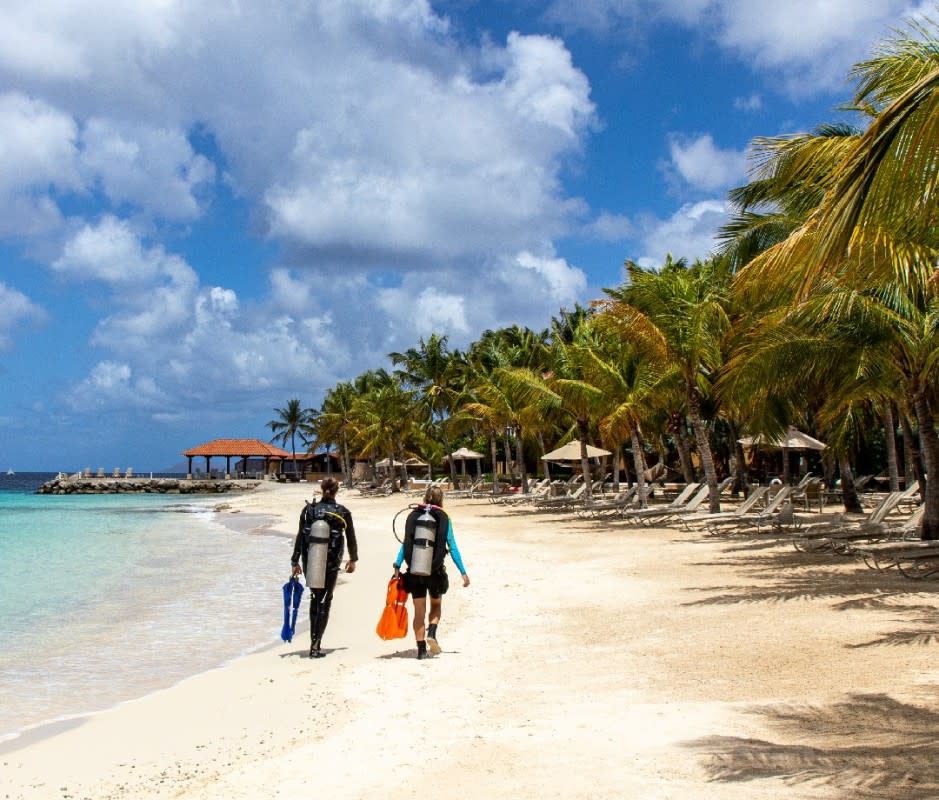 Bonaire's pristine coral reef fringes the shore like a collar. Many of the island's top dive sites can be accessed right from the beach. <p>Courtesy of Harbour Village</p>