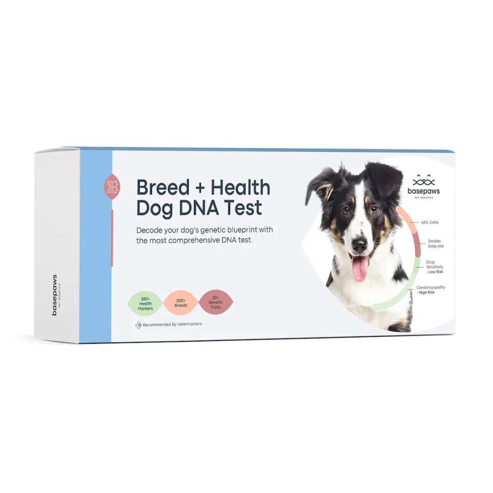 Basepaws Breed+Health Dog DNA Test the Best Dog DNA Kit? We Reviewed