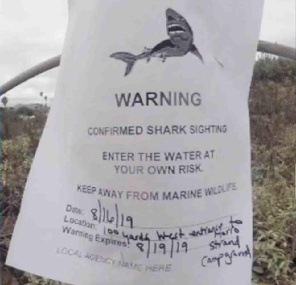 The paper sign posted at the beach, warning about the recent sightings. 