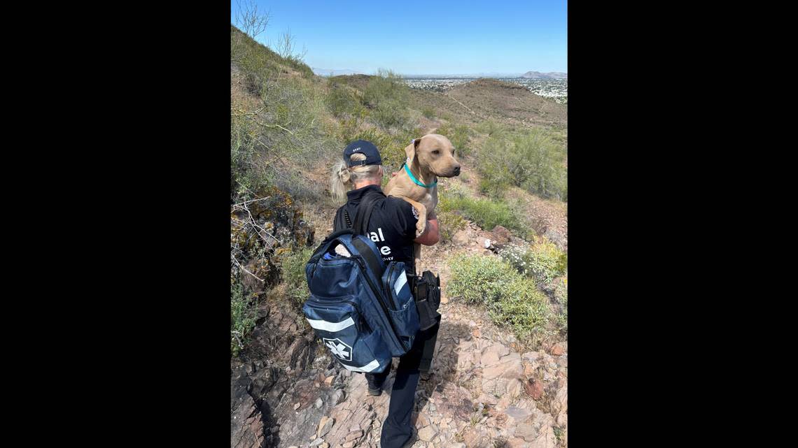 Jesus said she and Miller took turns carrying the dog down the “teeny tiny rocky trail that was pretty slick.”