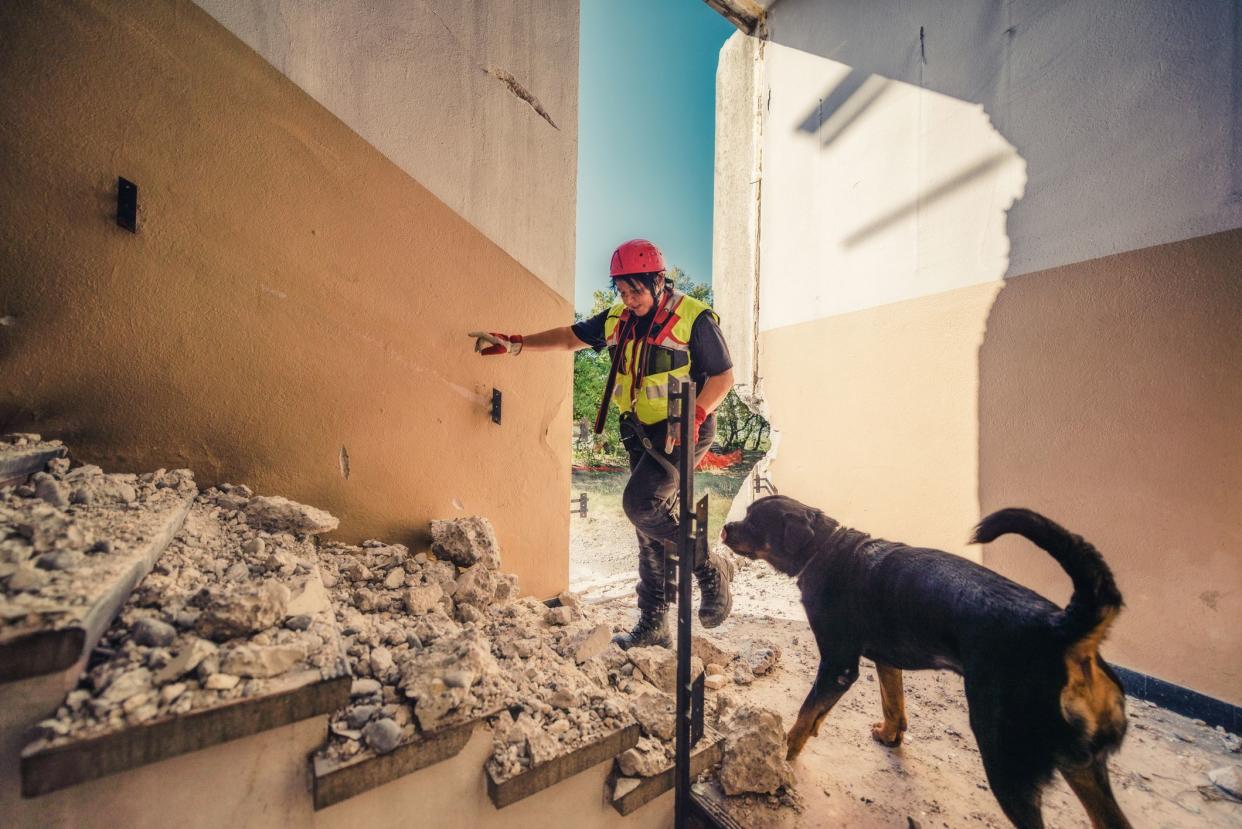Rescuer search trough ruins of building with help of rescue dog.