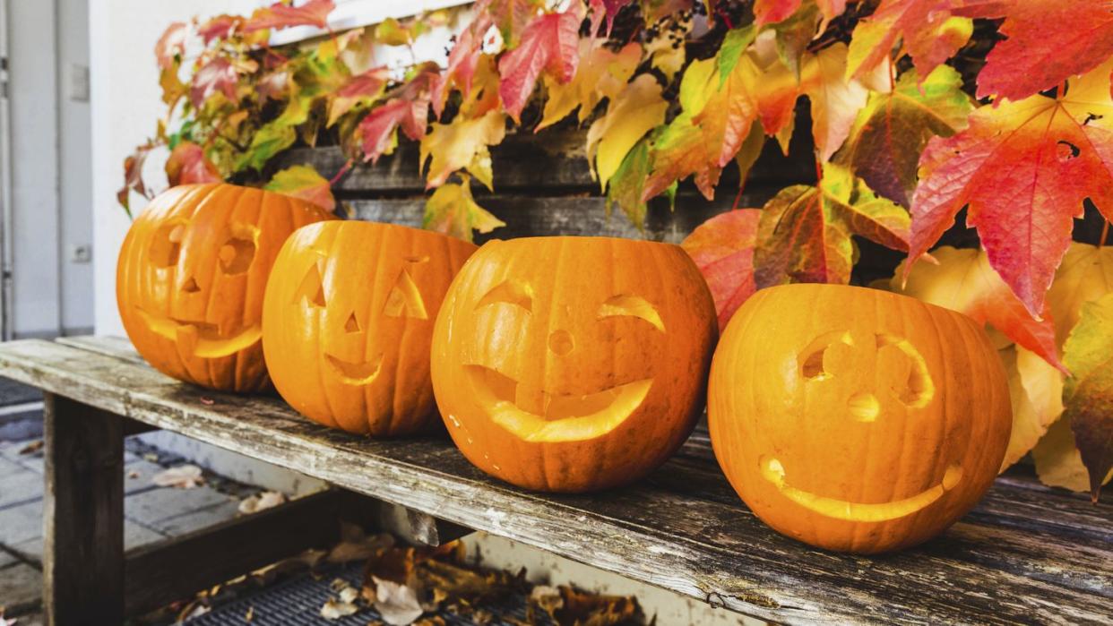 carved halloween pumpkins on rustic wooden bench