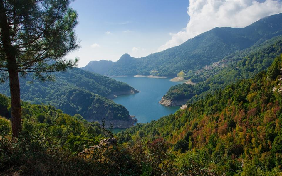 prunelli gorges, corsica - istock