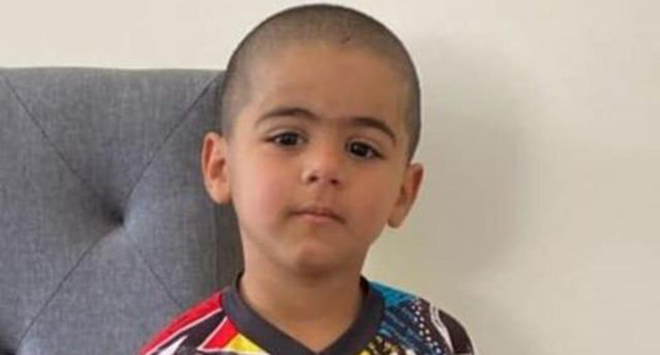 Anthony 'AJ' Elfalak is pictured. The boy, 3, has gone missing in the NSW Hunter region.