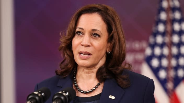 Vice President Kamala Harris delivers remarks to the National Congress of American Indians’ 78th annual convention in Washington, D.C. Tuesday. (Photo: Kevin Dietsch/Getty Images)