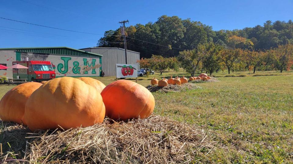 Located at 3016 Chimney Rock Road, J&M Farms can easily be seen from the road by its giant hay caterpillar. The farm, previously known as Freeman Orchards, has 150 acres, growing apples, vegetables and currently pumpkins.