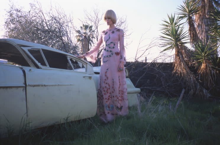 A print from the Gia Coppola x Gucci series