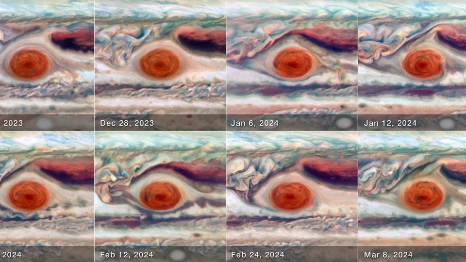 Hubble's images allowed scientists to measure the Great Red Spot's size, shape, brightness and color over one full oscillation cycle. - NASA/ESA/Amy Simon