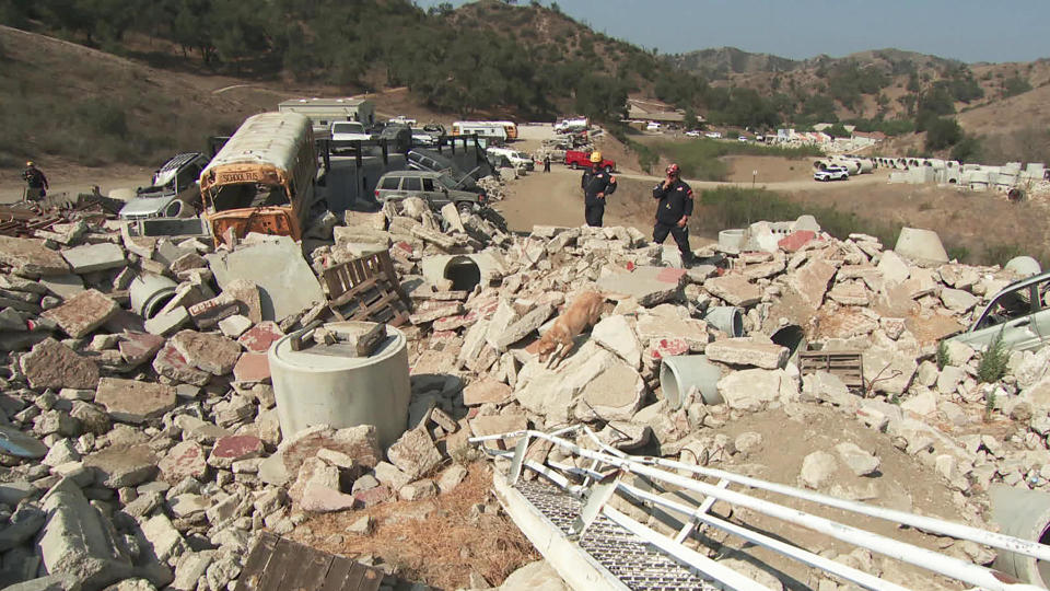 Training dogs to search for people trapped in rubble.  / Credit: CBS News