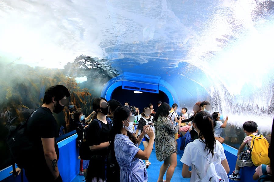 桃園水族館 Xpark 八景島水族館