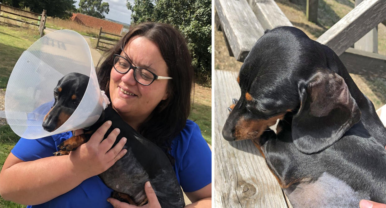 Tracy Riches and her dog, Dukey, who was hit by an Amazon driver (Pictures: Caters)