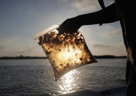 A man holds a plastic bag with oil from the Gulf of Mexico oil spill, south of Freemason Island, Louisiana, May 7, 2010. REUTERS/Carlos Barria