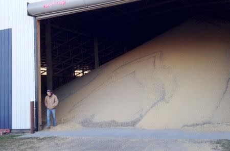 An elevator worker at Crystal Valley Cooperative in Minnesota exits a machinery shed that was cleared out to store an overflow of soybeans from this year's large harvest in Lake Crystal, Minnesota October 13, 2015. REUTERS/Karl Plume