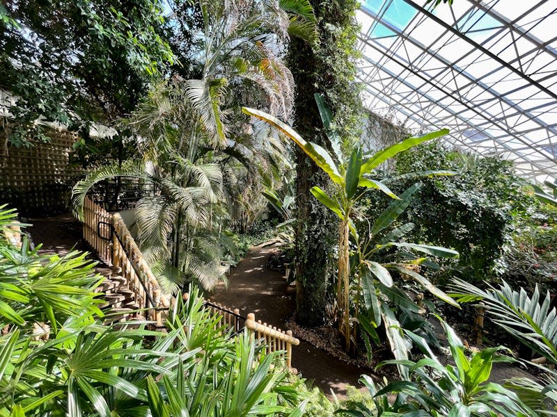 Visitors to Foellinger-Friemann Botanical Conservatory in Fort Wayne, Indiana, can wend their way through a jungle-like setting.