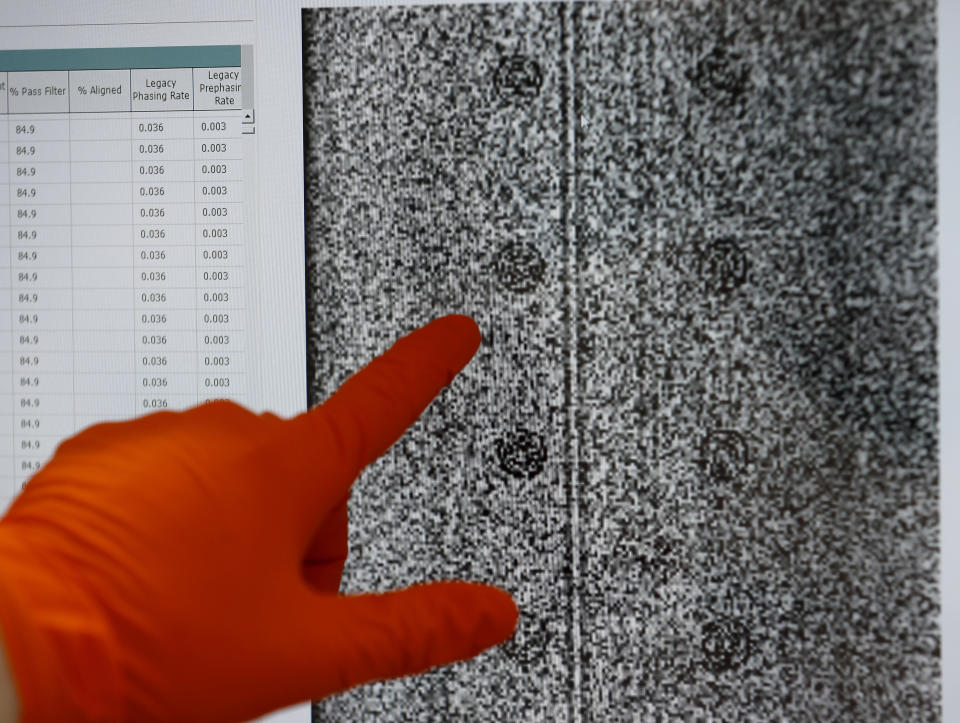 A lab assistant points at a picture of a cluster of Covid-19 RNA molecules on a computer screen at the Wellcome Sanger Institute that is operated by Genome Research in Cambridge, Thursday, March 4, 2021. Cambridge University microbiologist Sharon Peacock understood that genomic sequencing would be crucial in tracking the coronavirus, controlling outbreaks and developing vaccines, so she began working with colleagues around the country to put together a plan when there were just 84 confirmed cases in the country. The initiative helped make Britain a world leader in rapidly analyzing the genetic material from large numbers of COVID-19 infections, generating more than 40% of the genomic sequences identified to date.(AP Photo/Frank Augstein)