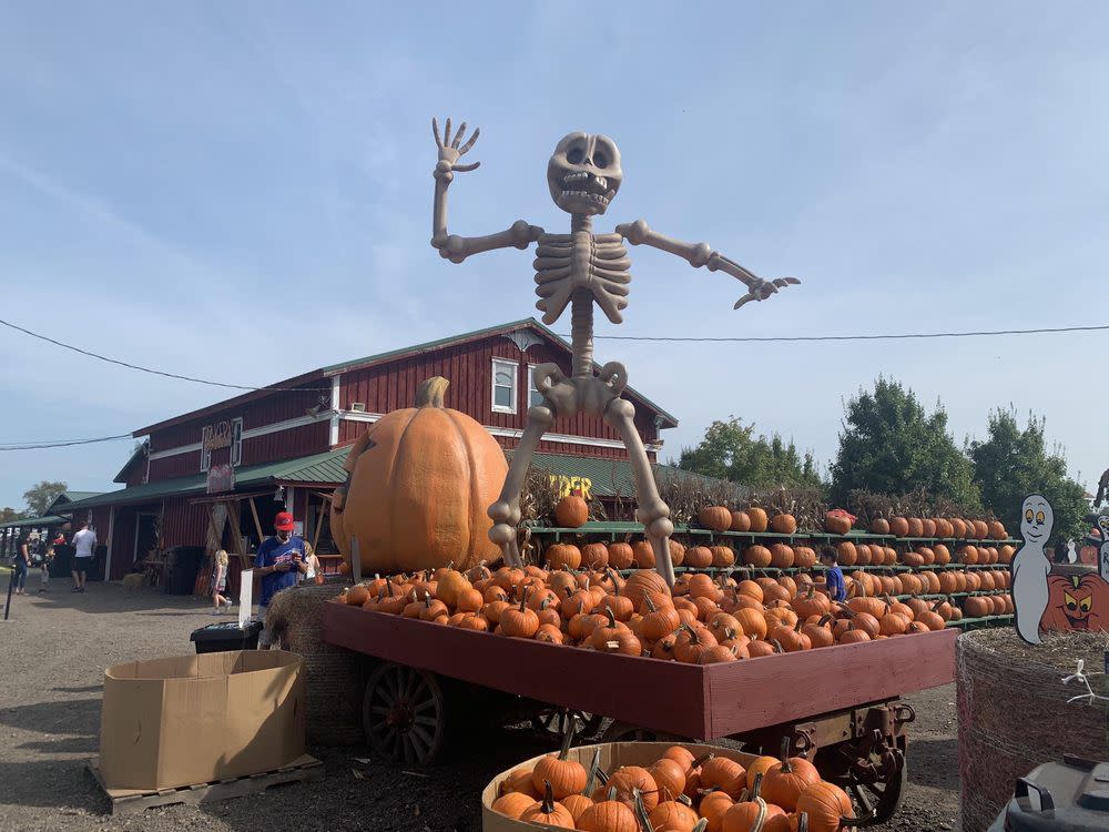 The Great Pumpkin Farm Clarence, New York