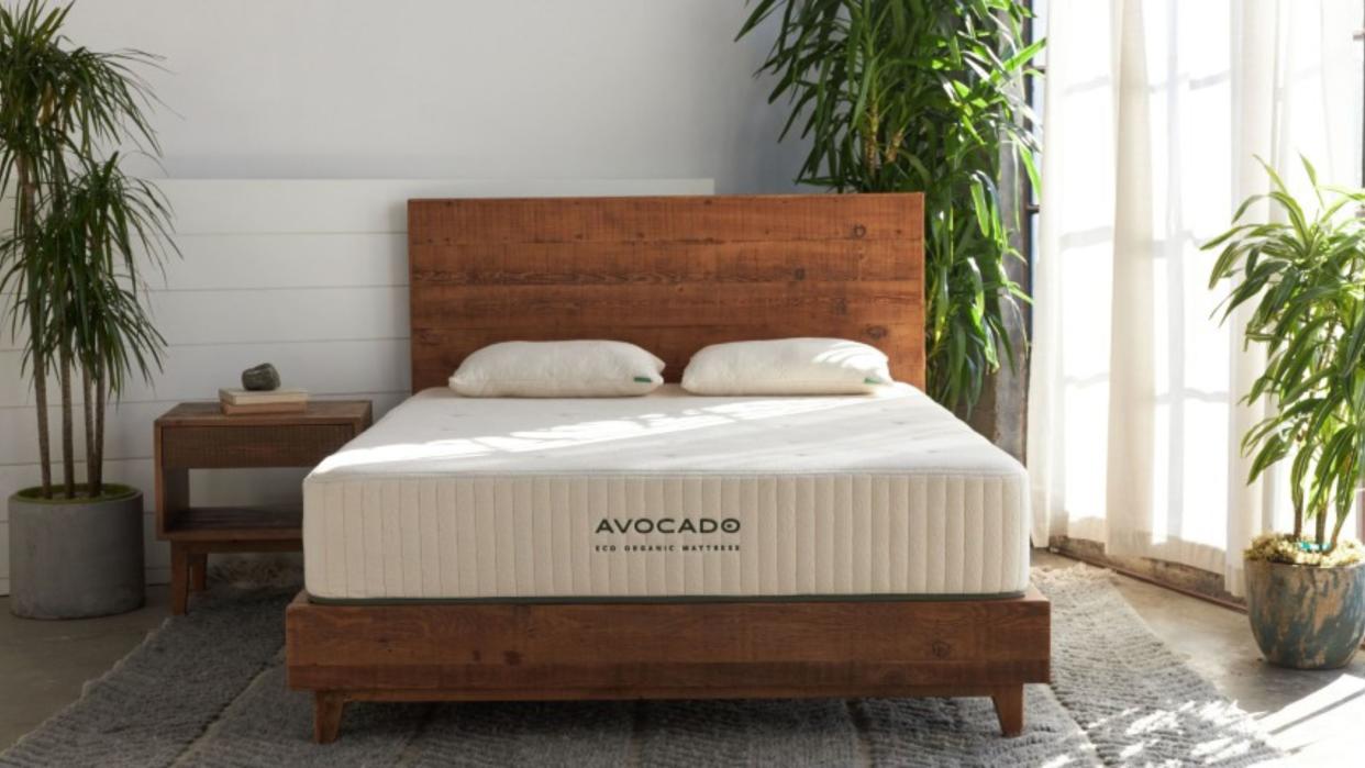  One of the beds in the Avocado mattress lawsuit, the Avocado Green mattress, in a contemporary bedroom 