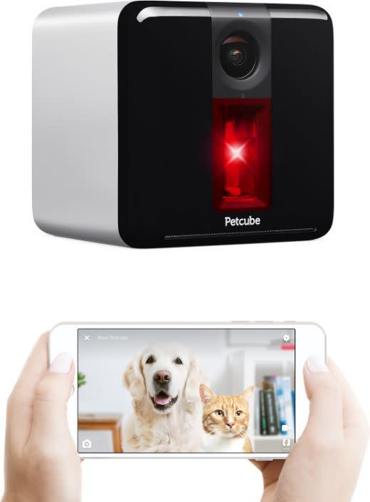 Caméra pour animaux “Petcube Play Wi-Fi Pet Camera”. (Photo: Chewy)