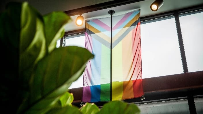 The Progress Pride flag hangs above the door at Stingray Botanicals. The widely known rainbow is a symbol for lesbian, gay, bisexual and transgender and was amended with the chevron to be more inclusive of people of color (black and brown stripes) and trans people (white, pink and blue stripes). (Photo: Dana Sparks/The Register-Guard via Imagn Content Services, LLC)