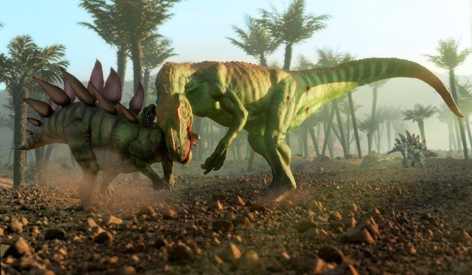 Recreation of an allosaurus attacking a stegosaurus