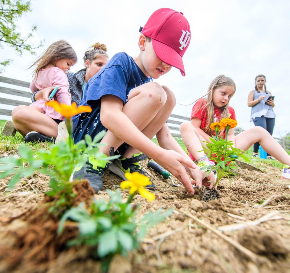 Grandview Elementary student Silas Defore plants flowers at Ivy Tech Community College's Biology Outdoor Learning Lab on Tuesday, May 10, 2022.