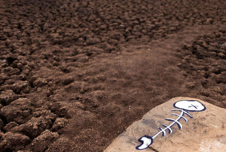 A graffiti of a dead fish is pictured in part of the Jaquari reservoir, during a drought in Vargem, Sao Paulo state January 28, 2015. REUTERS/Roosevelt Cassio