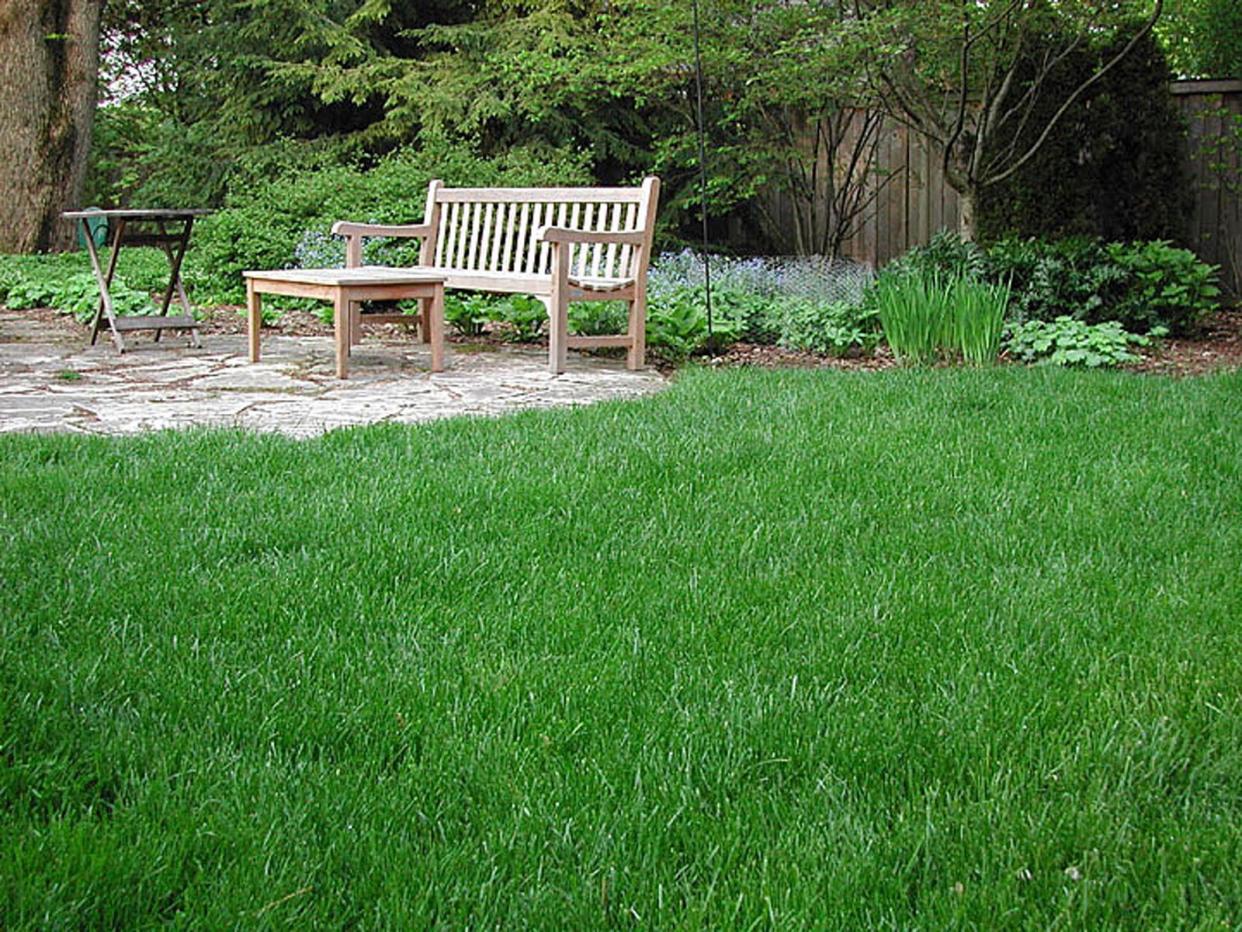 With a little work now, you can prep your lawn for healthy growth come spring.