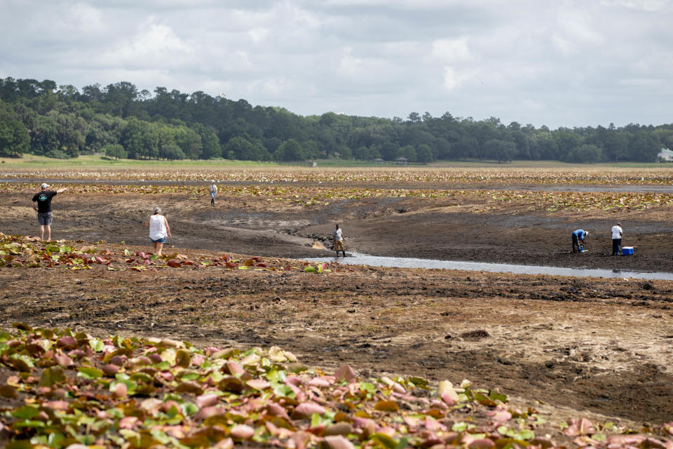 People walk around on what's usually the bottom of Lake Jackson as the lake dries up Monday, June 7, 2021. 