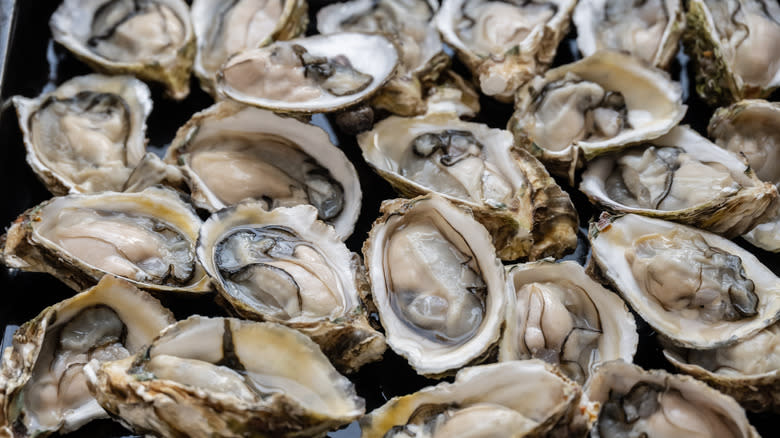 Raw oysters on platter