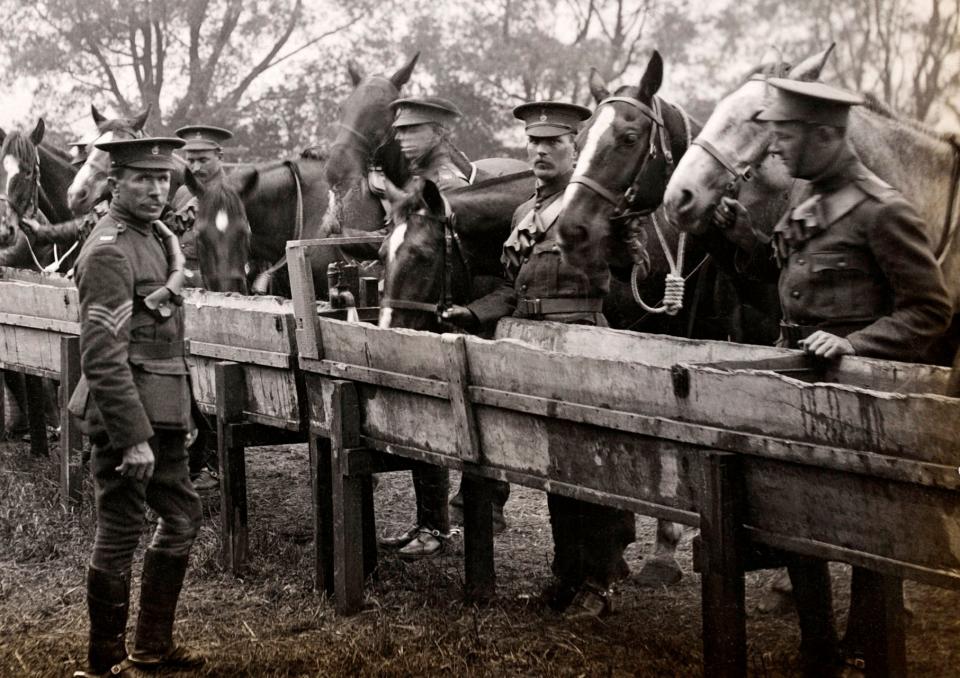 A cavalry regiment, pictured in the First World War, 1915